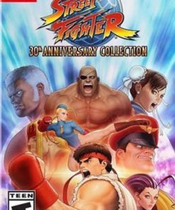 street fighter